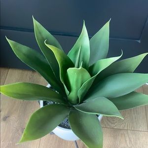 Accents - COPY - Modern fake potted plant Accents - COPY - Modern fake potted plant